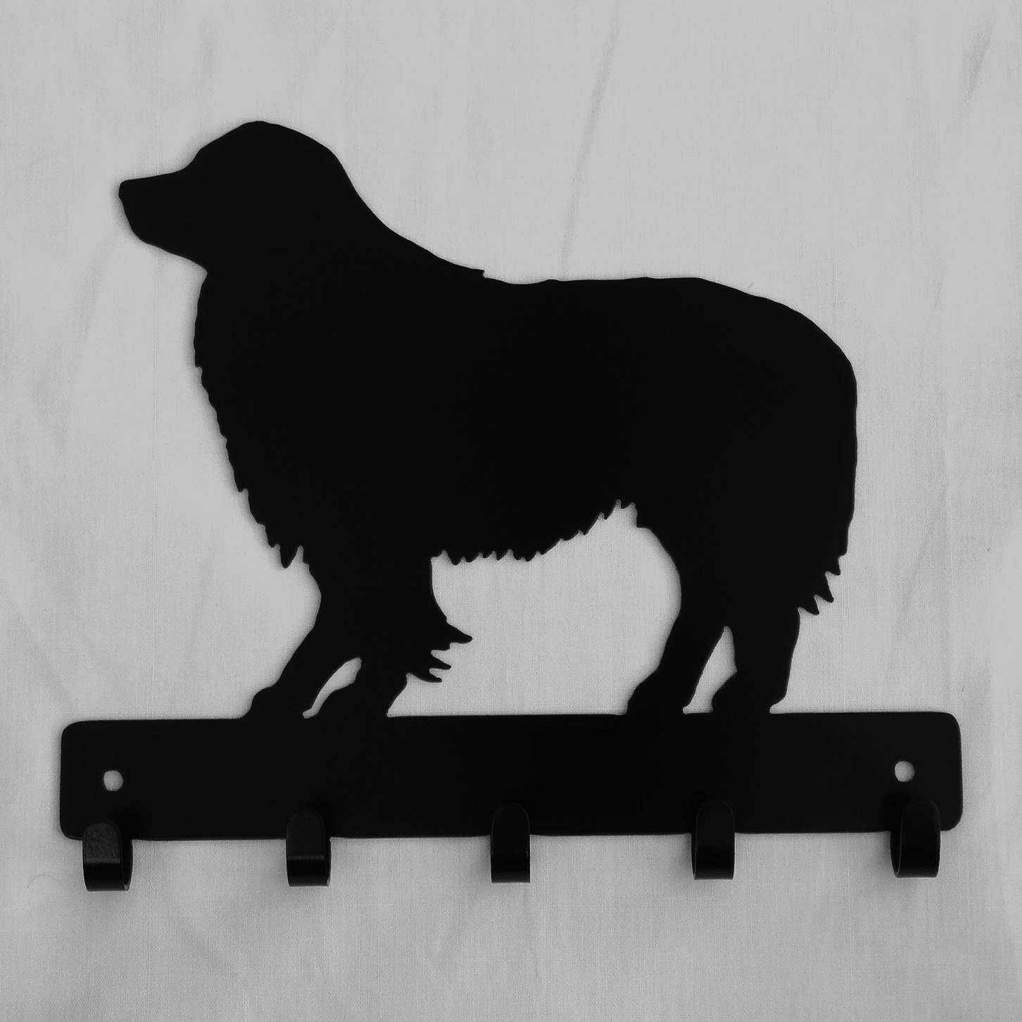 border-collie-1 keyrack image